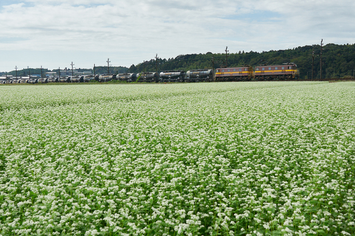 タムロン TAMRON 18-300mm F/3.5-6.3 Di III-A VC VXD (Model B061